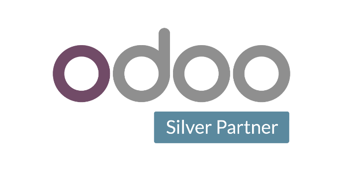 Odoo 19.3 (Functional training)