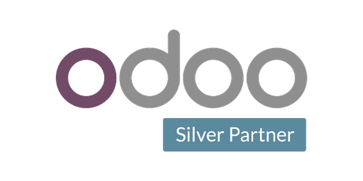 Odoo 19.3 (Functional training)